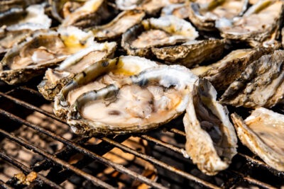 OysterBeer2018-92